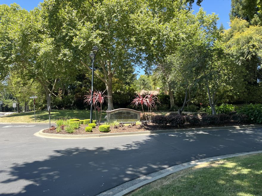 The landscaped entrance island framed by mature oaks at Hidden Oaks.