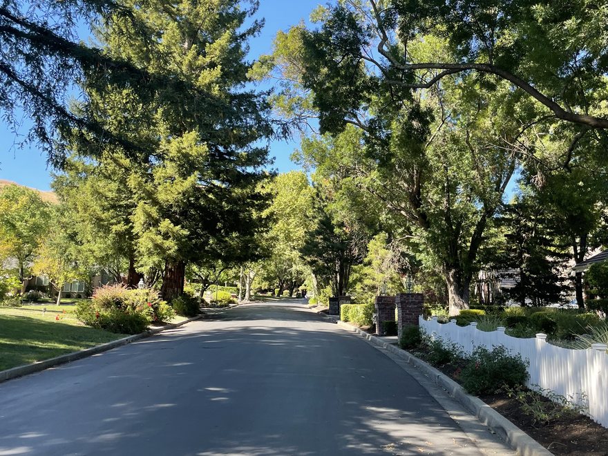 A quiet residential street lined with mature redwoods at Hidden Oaks at Blackhawk.